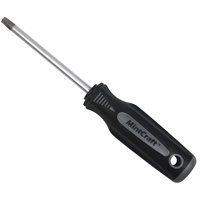 SCREWDRIVER STAR T10 X 3IN