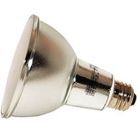 BULB LED ULTRA 75W PAR30LN 5K