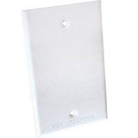 1G WHITE BLANK COVER