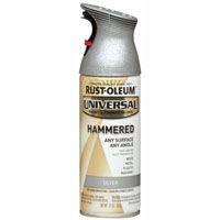 PAINT SPRY IN EX HMD SLVR 12OZ