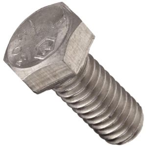 5/16-18 X 1 HEX CAP BOLT SS