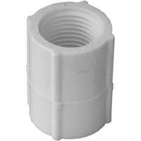 GENOVA 300 Series 30125 Pipe Coupler, 1/2 in FIP, White