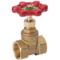 GATE VALVE 1IPS STD