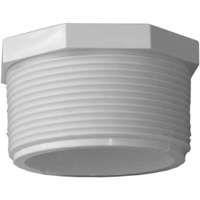 PLUG PVC MIP 2 IN
