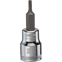 DeWALT DWMT87404OSP Torx Bit Socket, T10 Tip, 3/8 in Drive, Polished Chrome Vanadium, 1-31/32 in OAL