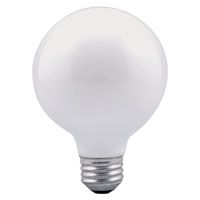 BULB LIGHT GLOBE 40W WHT 1/BX
