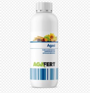 Agasi seaweed  1 L