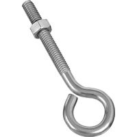 EYE BOLT W/NUT 1/4X2IN SS