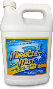 5G Instant Mold & Stain Remover
