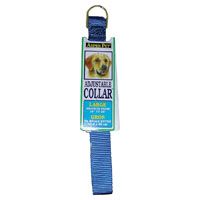 COLLAR NYLON BLUE ADJ 1IN