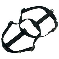 HARNESS ADJ BLACK 3/4X20-30IN