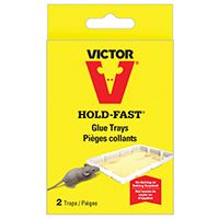 GLUE MOUSE VICTOR