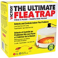 TRAP FLEA ULTIMATE VICTOR