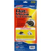 TRAPS RAT/MOUSE GLUE