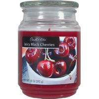 Candle-Lite 3297565 Jar Candle, Burgundy