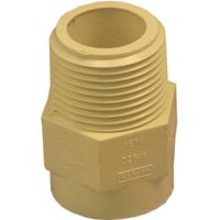 GENOVA 500 Series 50407 Male Adapter, 3/4 in MIP, 3/4 in Slip