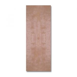 Flush Door Single Panel